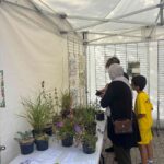 don de plantes par Les Mureaux